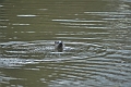04 01 17_5275_edited-1